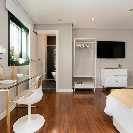 Apartment C30 Deluxe Studio With Terrace Into Cathedral Square Malaga